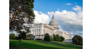 U.S. age verification bill delayed in senate Home