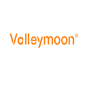 NingBo Valleymoon Technology Co.,Ltd